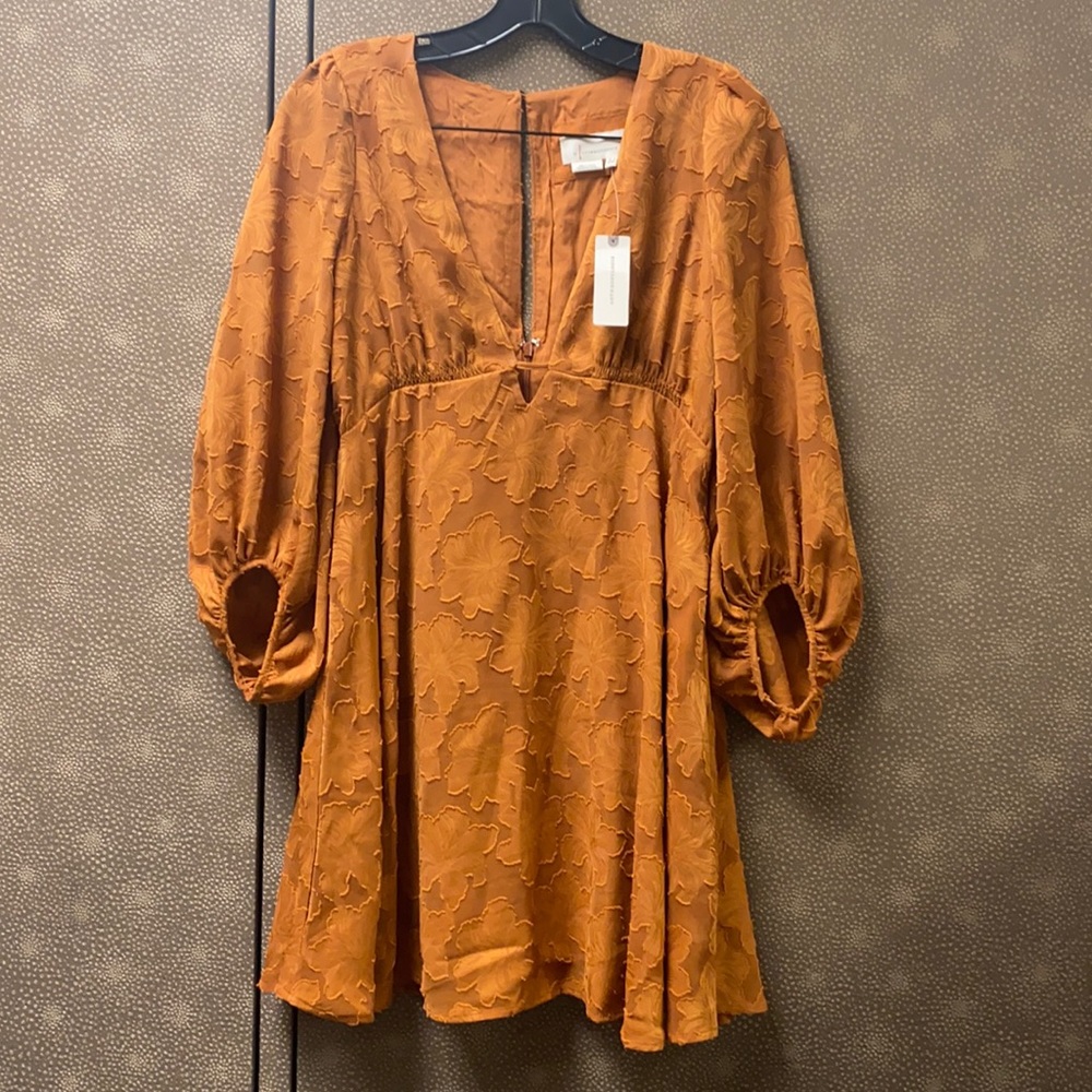 🔥🔥🔥NEW Anthropologie Floral Balloon Sleeves Dress